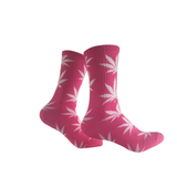 Pink Sweet Dreams