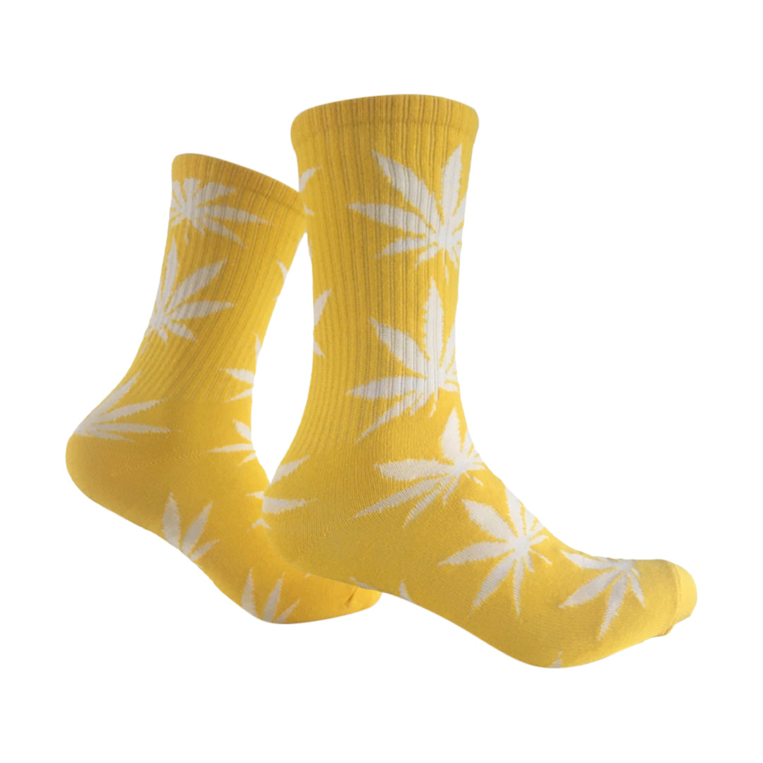Yellow Sweet Dreams