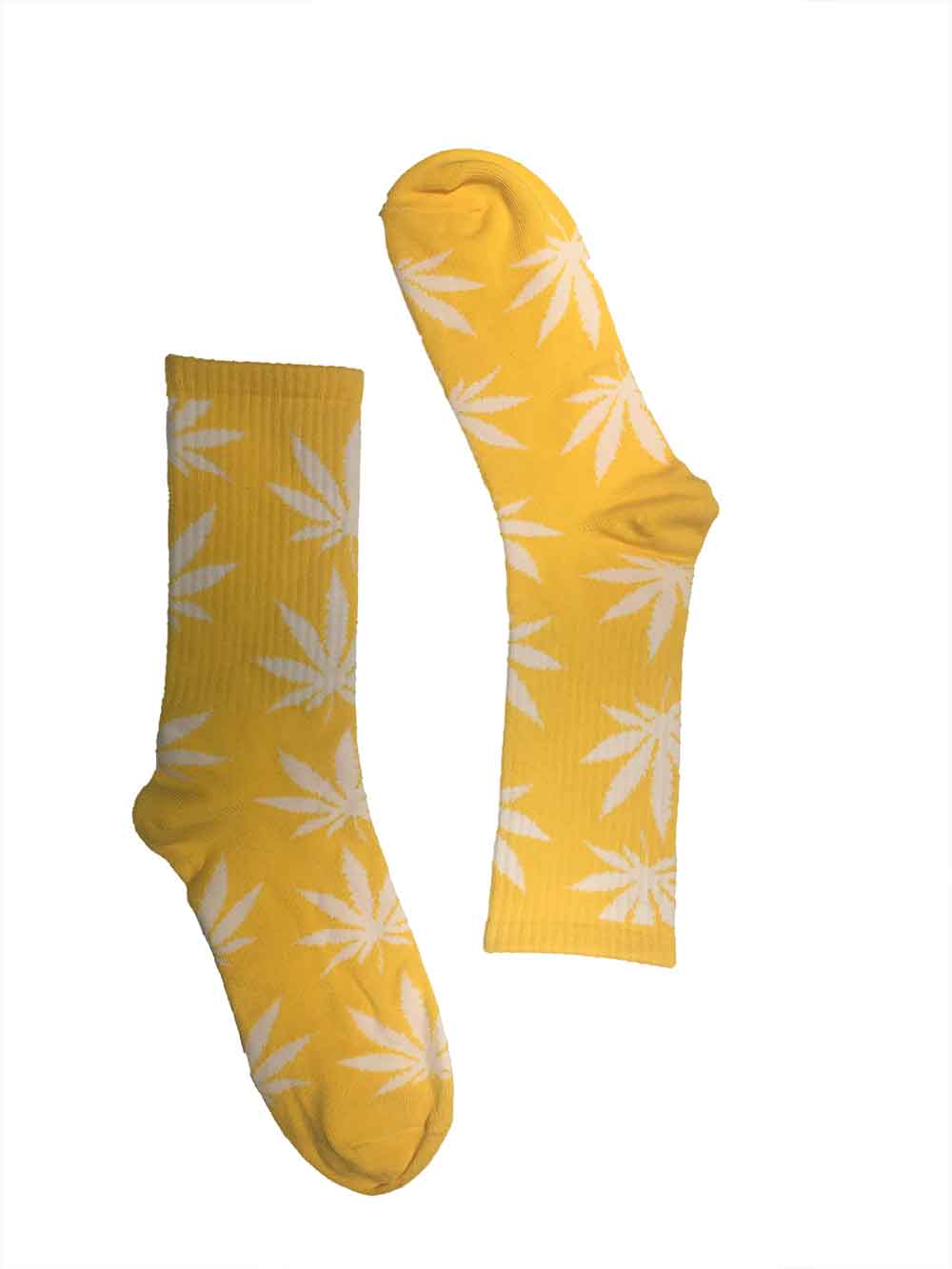 Yellow Sweet Dreams