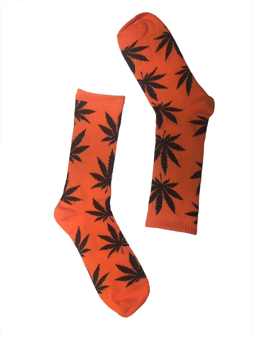 Orange Sweet Dreams