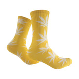 Yellow Sweet Dreams