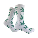 Green Wild Dreams