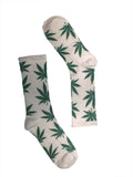 Green Wild Dreams