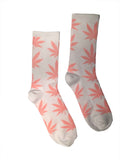 Pink Wild Dreams