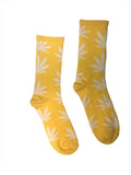 Yellow Sweet Dreams