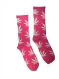 Pink Sweet Dreams